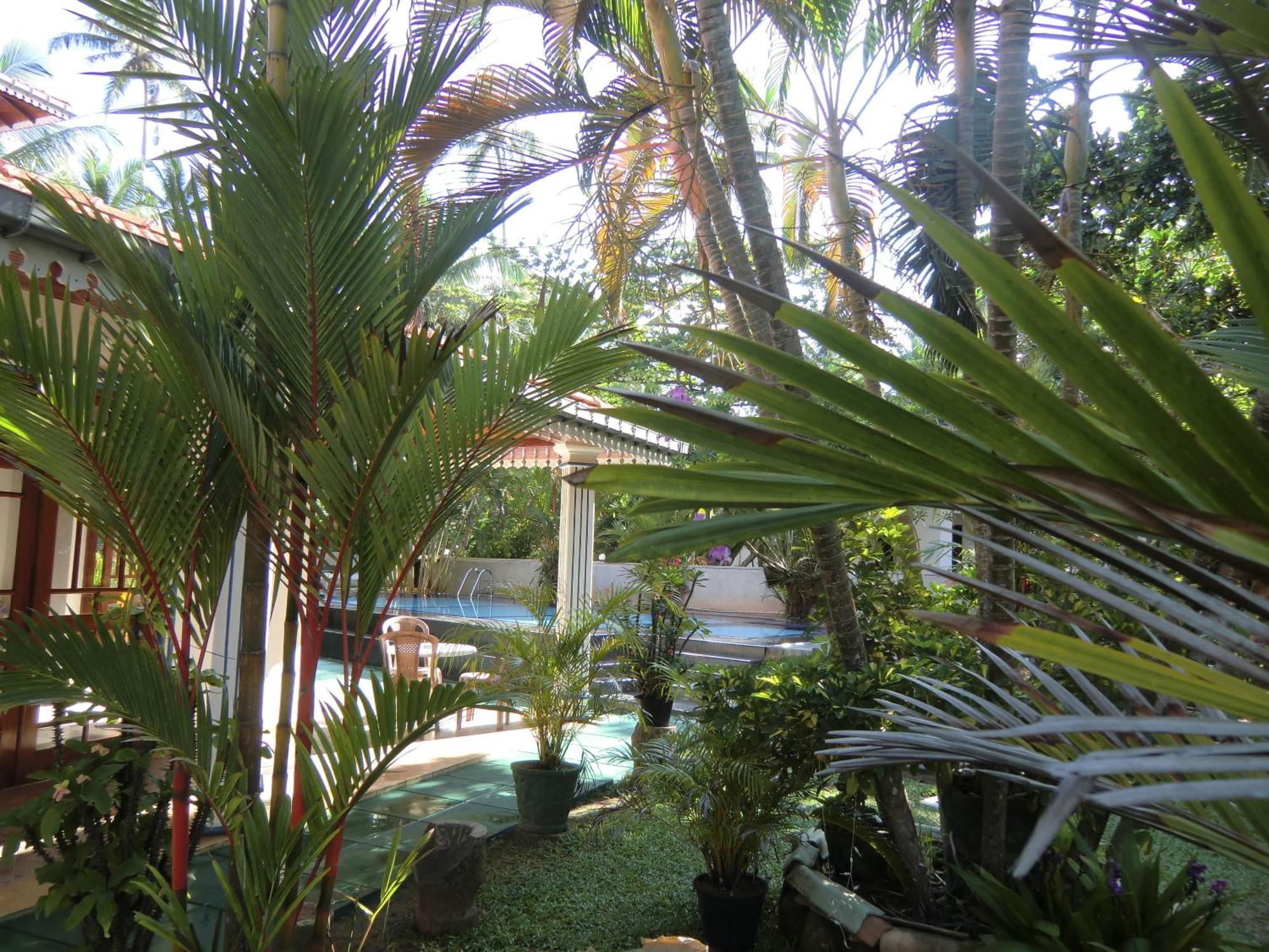 היקדואה The Oasis Villa מראה חיצוני תמונה